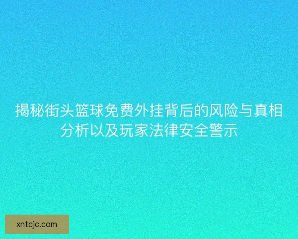 揭秘街头篮球免费外挂背后的风险与真相分析以及玩家法律安全警示