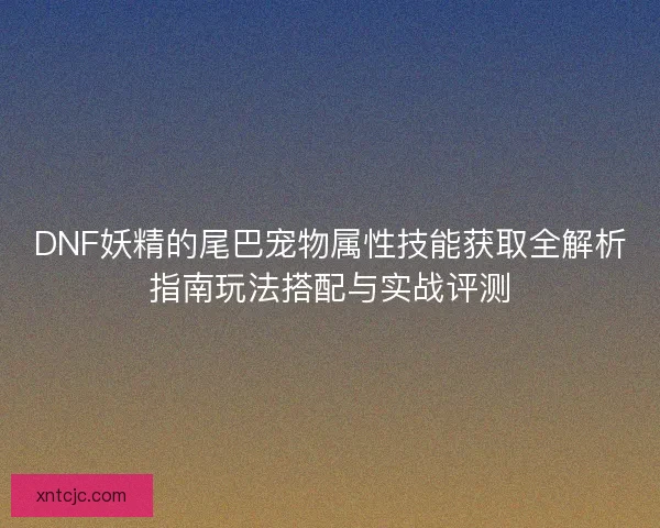DNF妖精的尾巴宠物属性技能获取全解析指南玩法搭配与实战评测